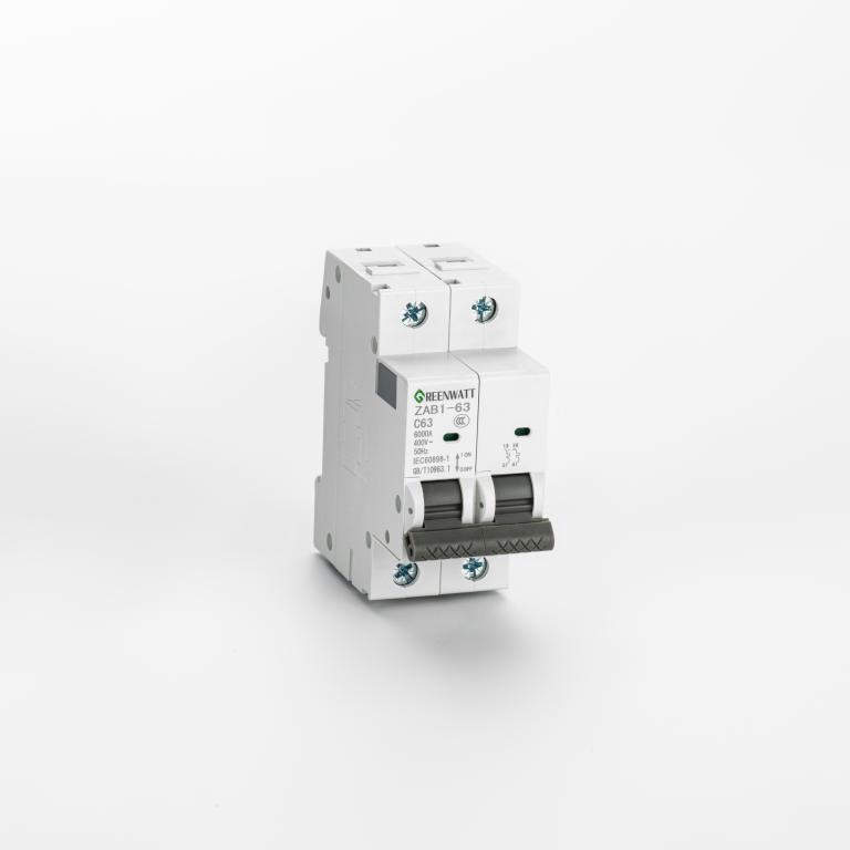 Disjoncteur AC Courbe C 10A 2P 6kA